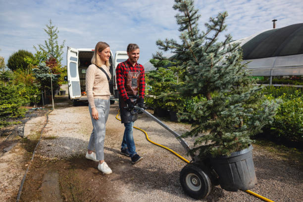 Best Tree Health Inspection  in Gary, IN
